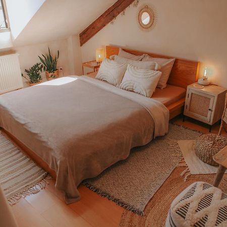ברטיסלאבה Cozy Apartment In The Heart Of The Historic City מראה חיצוני תמונה